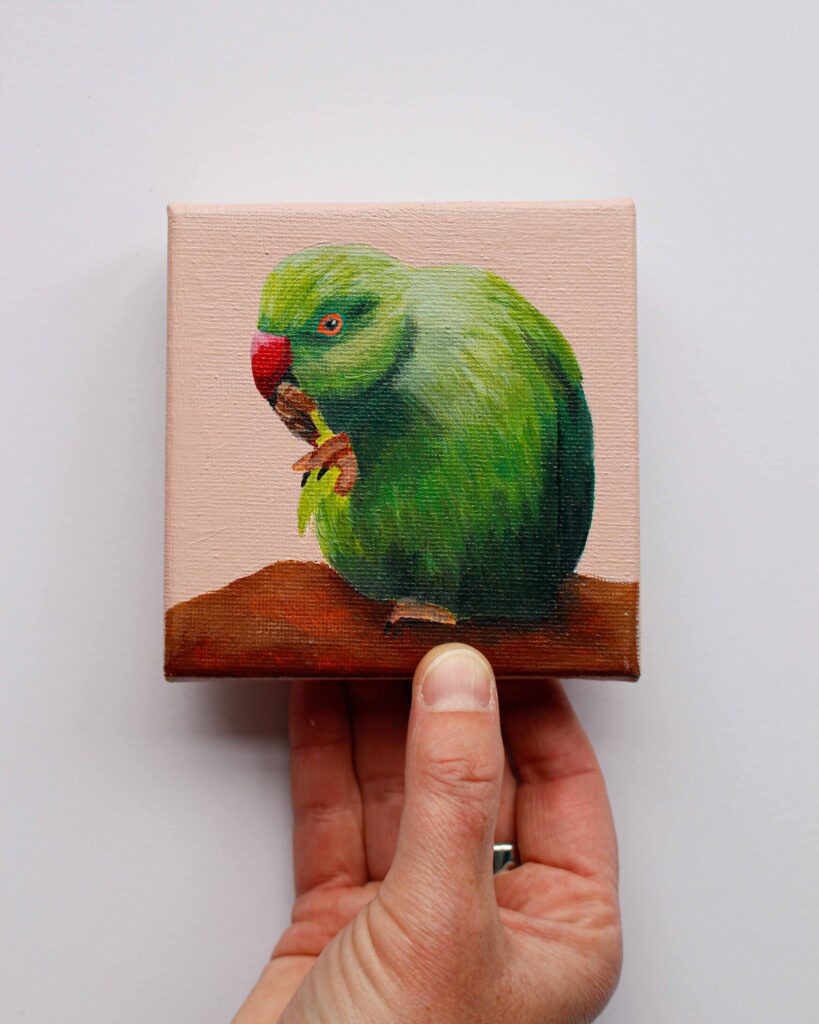 Klein schilderij van een halsbandparkiet die eten vasthoudt met één poot tegen een zachte poederroze achtergrond