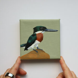 Klein schilderij van een mannelijke groene ijsvogel op een rots tegen een zachte saliegroene achtergrond