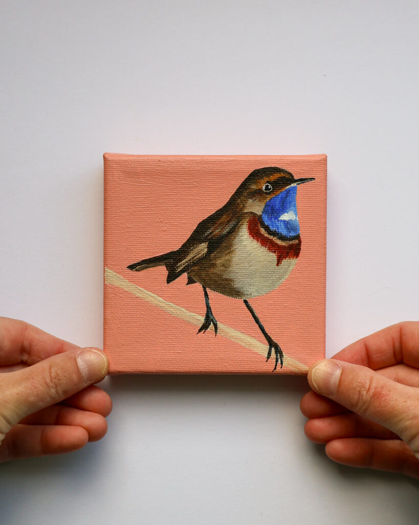 Klein schilderij van een mannelijke blauwborst op een diagonale tak tegen een warme zalmroze achtergrond