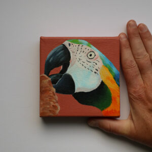 Klein schilderij met close-up van een kleurrijke ara tegen een warme terracottarode achtergrond
