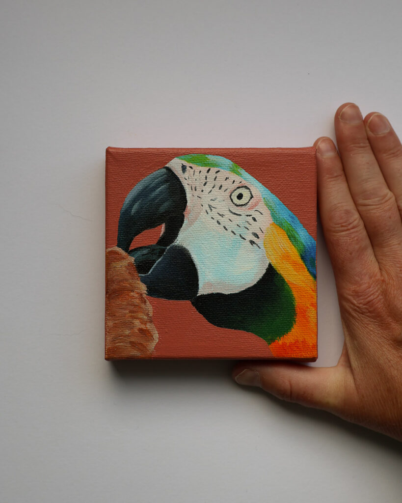 Klein schilderij met close-up van een kleurrijke ara tegen een warme terracottarode achtergrond