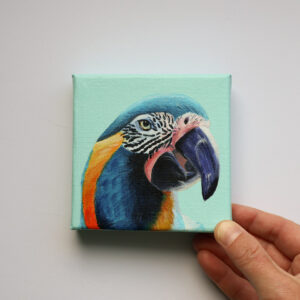 Klein schilderij met close-up van een blauwkeelara tegen een lichte mintturquoise achtergrond