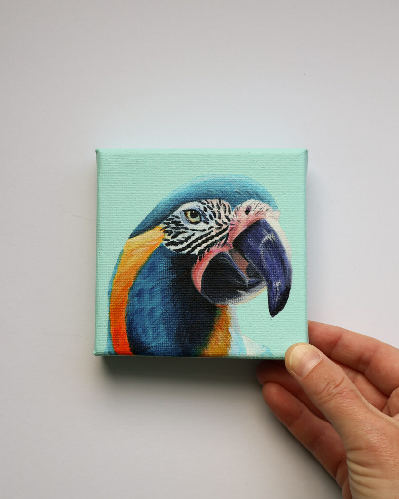 Klein schilderij met close-up van een blauwkeelara tegen een lichte mintturquoise achtergrond